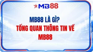 MB88 Là Gì? Tổng Quan Thông Tin Về MB88