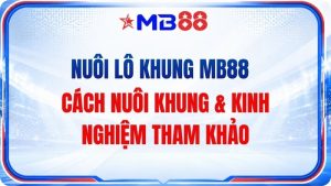 Nuôi Lô Khung MB88 – Cách Nuôi Khung & Kinh Nghiệm Tha